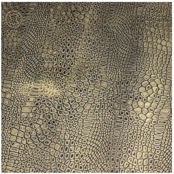 Reptile Embossed Leather GOLD : Leather 3 .5- 4.0 oz. | 1.4 - 1.6 mm - Leather for Projects - Caiman Embossed